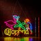 Summer Flamingo and Parrot Coro Neon Sign for Wall Décor, Dimmable Beer Bar LED Man Cave Neon Light, USB Powered Neon Art Signs Decor Gifts